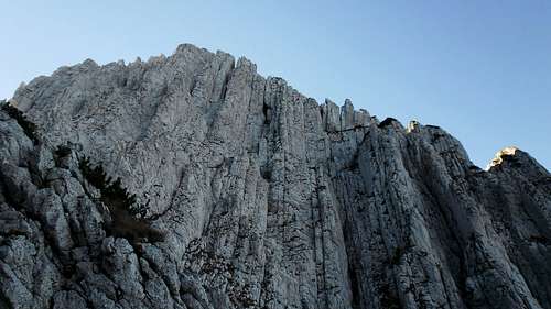Side ridge of Timbal seen from Padina lui Calinet