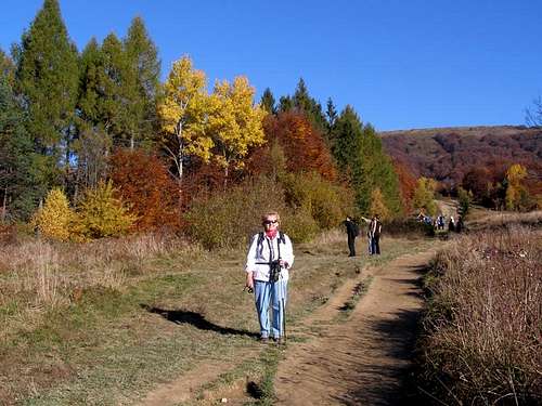 Beginning of the trail on Mount Połonina Wetlinska