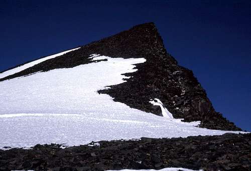 Blacktop Peak Summit