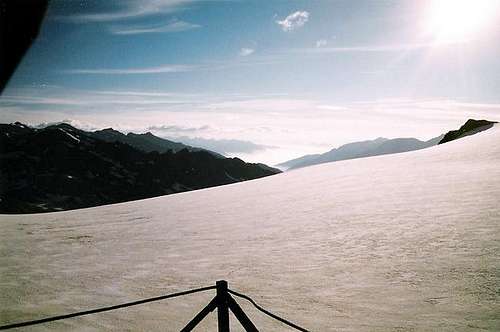 The Cevedale Glacier from...