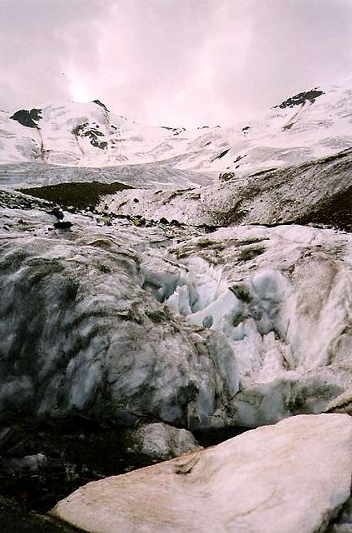 Crevasses on Forni Glacier....
