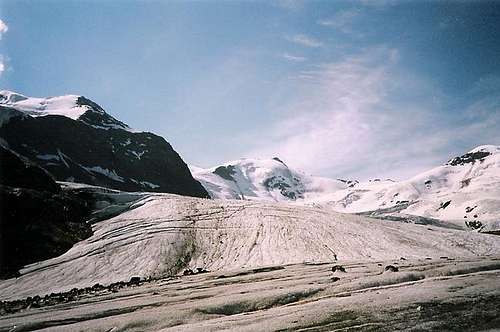 The Forni Glacier