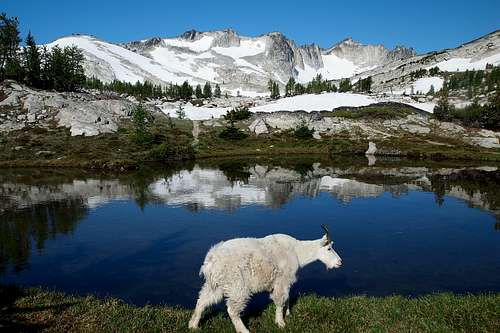 goat and Dragontail Peak