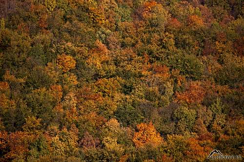 Muranska Planina fall colours
