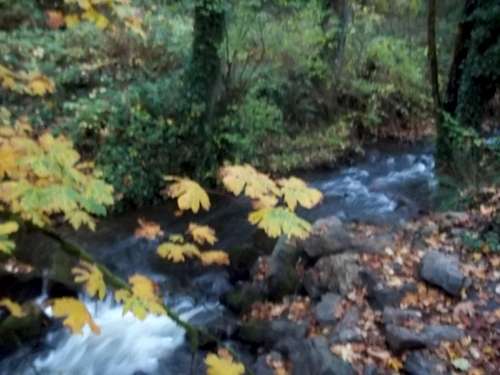 Streams of fall