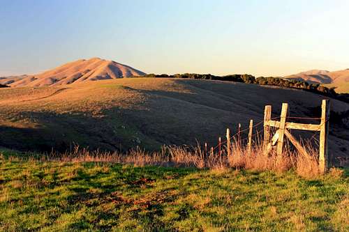 Bolinas Ridge with old cattle fencing