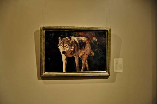 Painting of a wolf 
