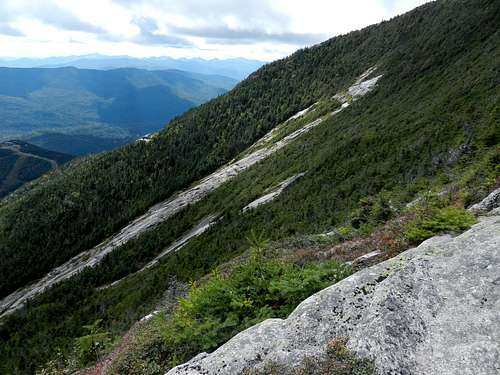 Whiteface along Wilmington Trail