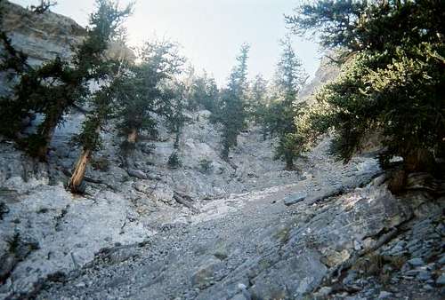 Looking up the steep gully.
