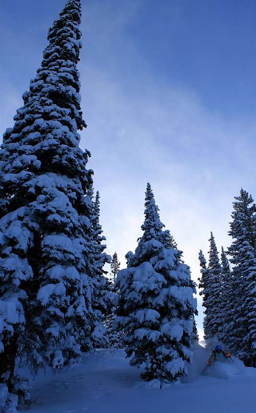 Troy Skiing