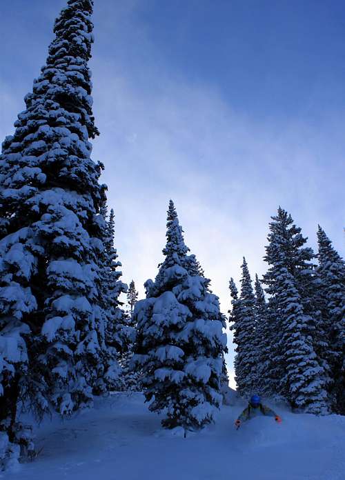 Troy Skiing