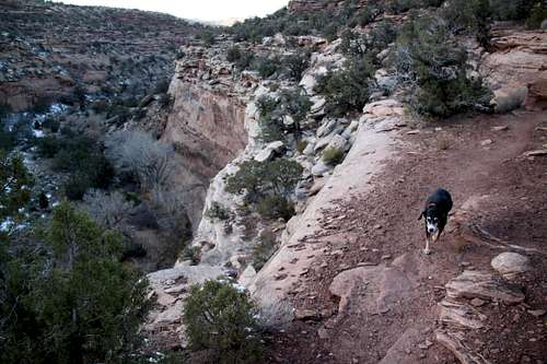Trail along the rim of a canyon