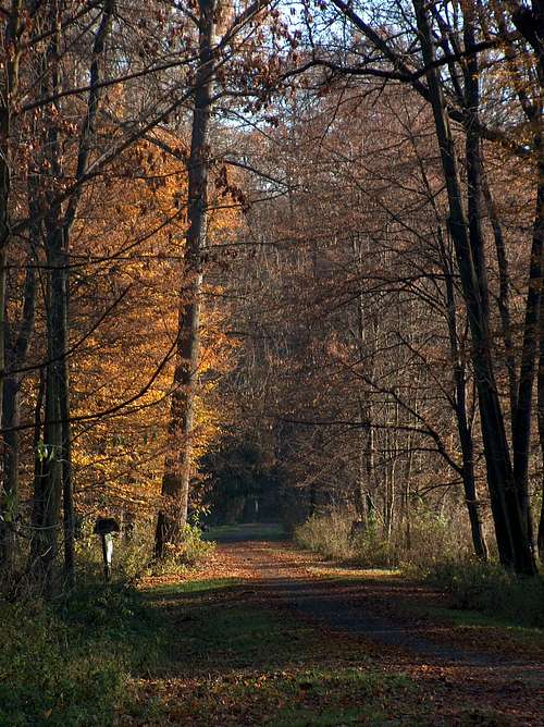 Autumn in the Strzelin hills