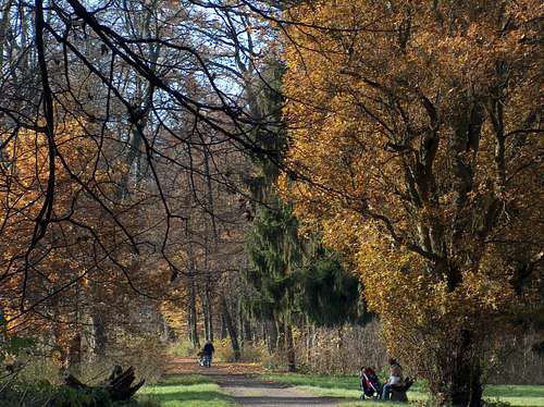 Henryków park in autumn