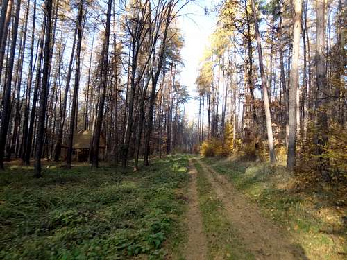 Trail on Gromnik in autumn