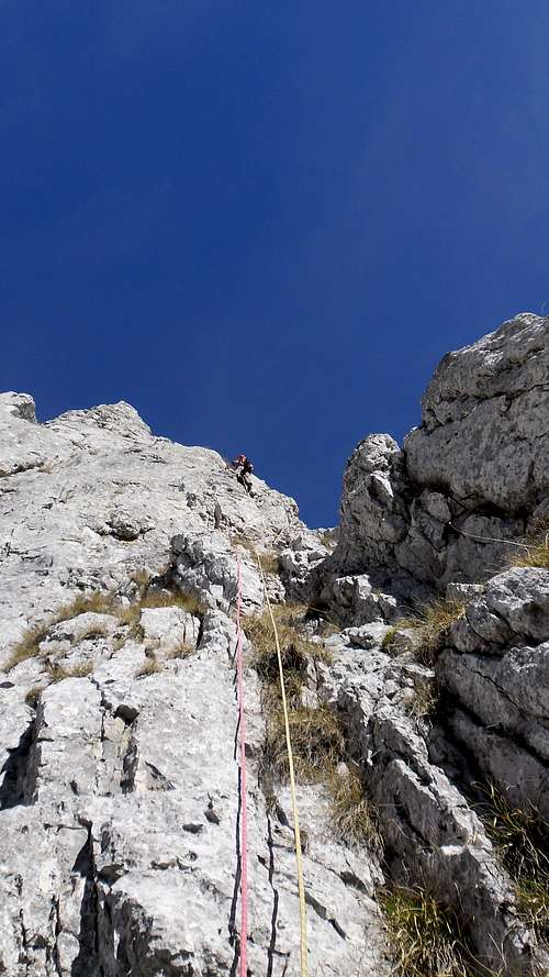 Andrei leading to the first pitch on Black Rose