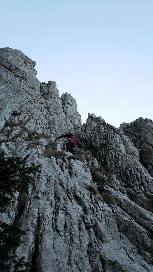 Andrei at begining of Coarnele Caprei ridge, 4A looking for the first bolt