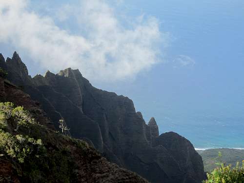 View of the jagged Na Pali coast from high in the mountains of Kauai