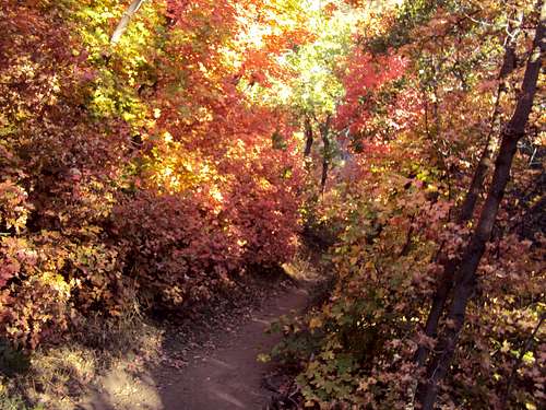 Pretty Fall Hiking