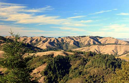 Nicasio Ridge from the south