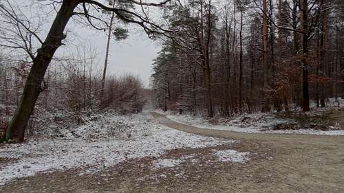Strzelin Hills in early winter