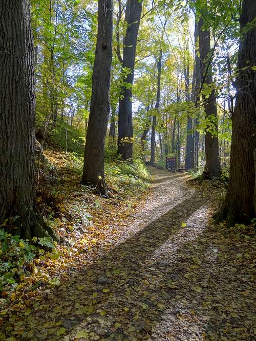 Path to the Grodno castle