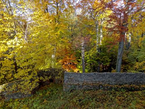 Autumn tones near the Grodno castle