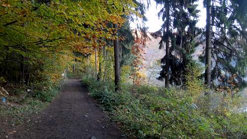 Trail along Bystrzyca reservoir near Zagórze