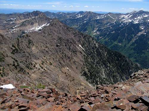 LCC and Eastern Wall of Tanners Gulch