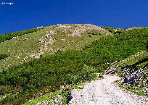 Summit area of bulky Alancic...