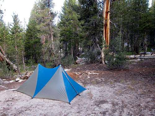 Camp on Bear Ridge