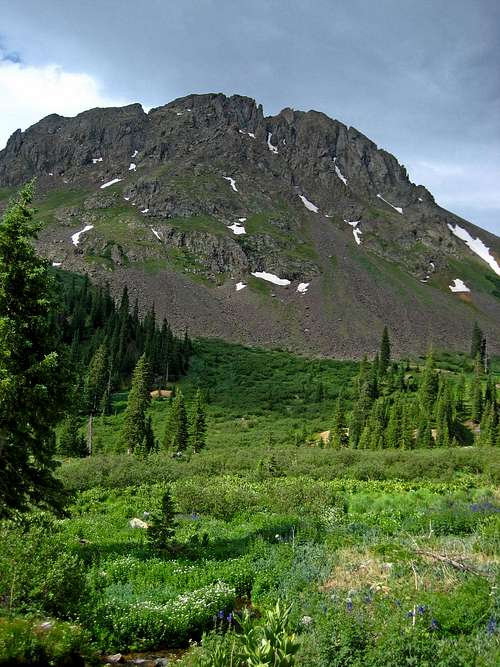 Green Meadows with Stony Mountain