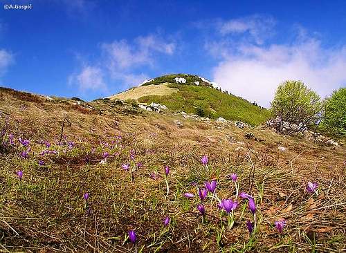  Seravski Vrh (1661m) from...