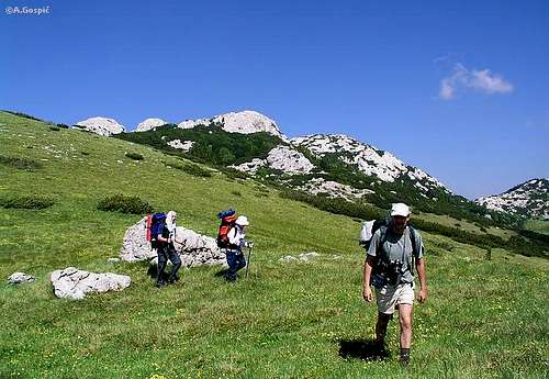  Rozanski Vrh (1638m) from...