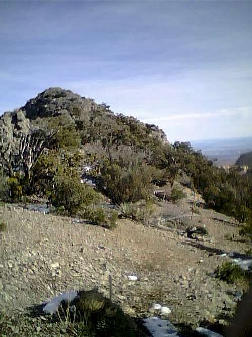 Crest Peak(North Peak limestone)