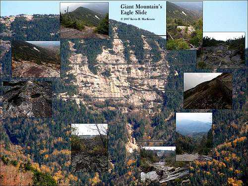 Giant Mountain Eagle Slide