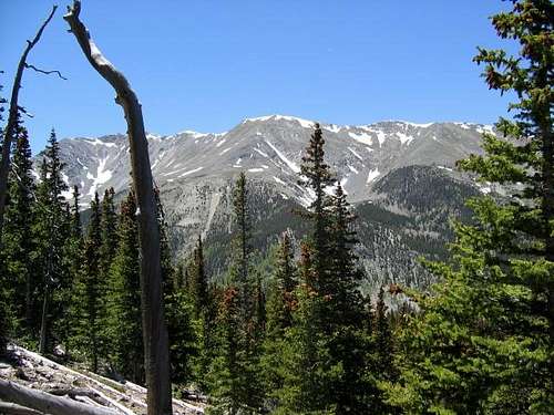 Gentle Giant: California Peak...