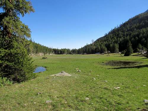 meadow along Sweetwater Gap Trail