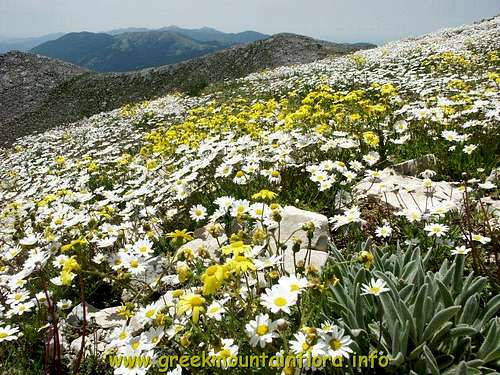 Mount Parnon spring, Greece