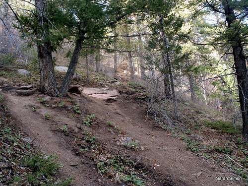 The trail gets steep in spots