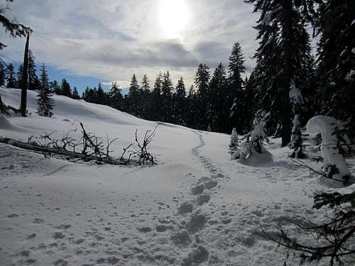 Mt. McLoughlin Winter Attempt