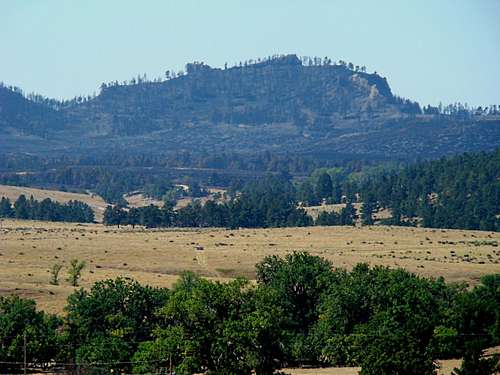 2012 Fire Aftermath on Flannigan Butte