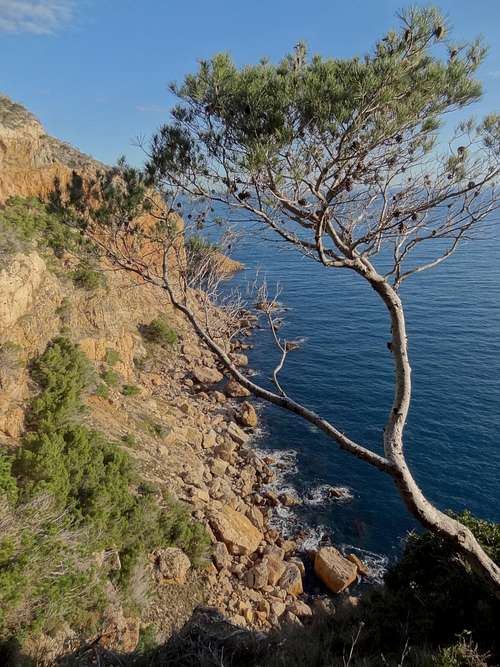 Purple cliffs of Cap de Begur in the morning sun