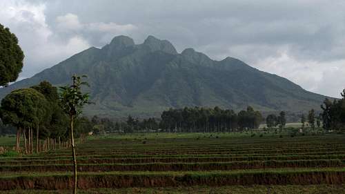 Mt. Sabyinyo