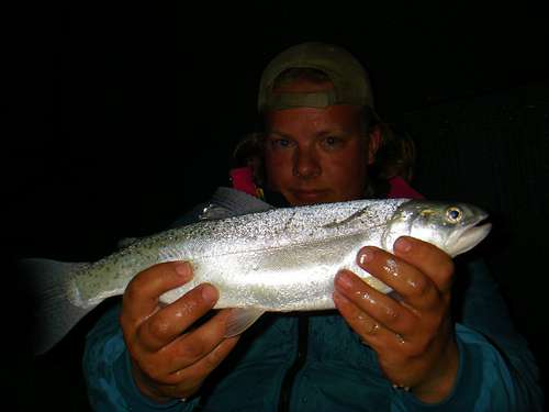 Cutthroat Trout