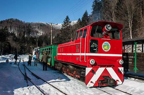 Bieszczady forest railway