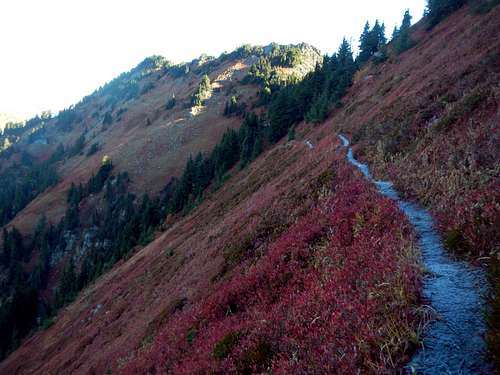 Wenatchee Ridge Trail