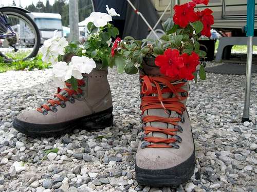 Flower boots