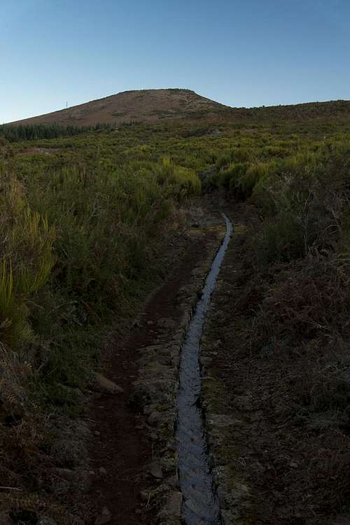 The first Levada