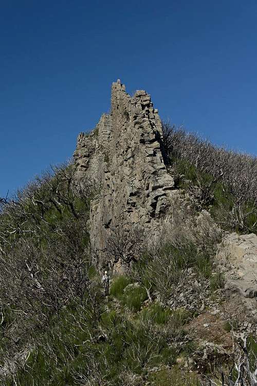 Basalt Wall